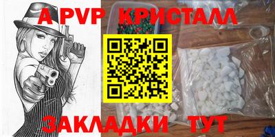 шишки Пенза