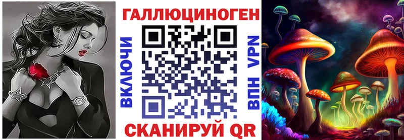 Галлюциногенные грибы Psilocybine cubensis  hydra зеркало  Алейск 