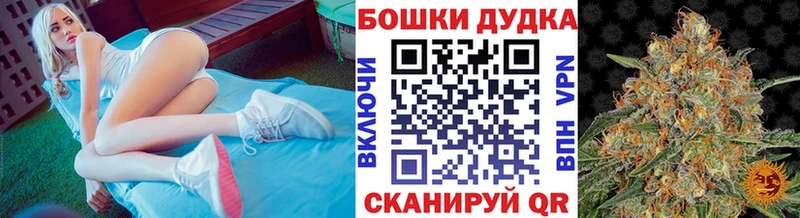 где можно купить наркотик  Алейск  Канабис семена 